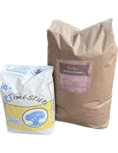 BioArt Mescola Termica per Intonaco Termico e Massetto...